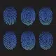 A colllection of fingerprint types illustrated in blue on a black background