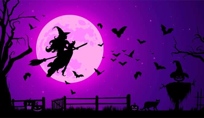 An illustration of a witch and her cat on a broomstick flying against a full moon with bats and trees on a purple background