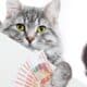 An image of a photo of a cat hanging onto a table holding a wad of cash isolated on white